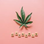 Семена конопли голландской селекции преимущества и особенности выращивания image_116.jpg