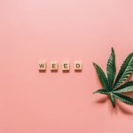 Выращивание автоцветущих семян конопли image_191.jpg