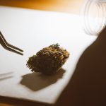 Очистка семян конопли в домашних условиях image_248.jpg