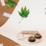 Выращивание марихуаны из семян image_277.jpg