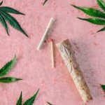 Покупка семян марихуаны в России: законодательные ограничения и риски image_390.jpg