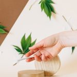 Цены на семена конопли и перспективы рынка image_395.jpg