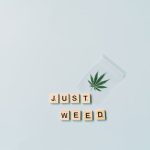 Дагестанское масло из семян конопли полезные свойства и применение image_419.jpg