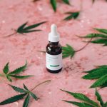 Семя конопли Черная вдова особенности и преимущества сорта image_468.jpg