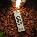 Покупка Семян Конопли в Интернет-Магазине Преимущества и Особенности Выбора image_535.jpg