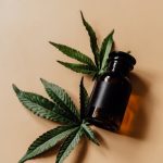 Проращивание семян марихуаны и уход за проростками image_64.jpg