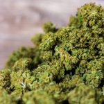 Семена конопли Dutch Dragon feminised от Paradise Seeds images318.jpg