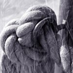 Как купить хорошие семена марихуаны и ухаживать за ними images412.jpg