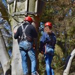 Покупка и использование семян конопли images427.jpg