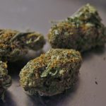 Семена конопли в Луганске: перспективы и преимущества выращивания images463.jpg