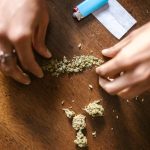 Применение и перспективы Some Sweet feminised Medical Seeds в медицине image_104.jpg