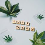 Упаковка семян конопли: виды и особенности image_141.jpg