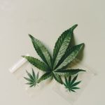 Семена конопли являются ли наркотиком image_142.jpg