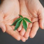 Ловля карпа с использованием семян конопли image_164.jpg