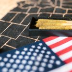 Семена конопли Auto Destroyer feminised от Ganja Seeds image_178.jpg