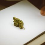 Семена конопли LA Confidential feminised от DNA Genetics image_249.jpg