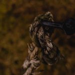 Семена конопли для рыбалки где купить и как использовать image_251.jpg