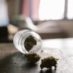 Семена марихуаны в Алматы и законодательство Казахстана image_298.jpg