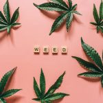 Конопля в России история и перспективы развития image_319.jpg