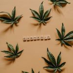 Приобретение семян конопли где и как купить семена конопли законно image_320.jpg