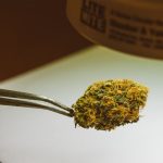 Как замочить семена конопли image_324.jpg