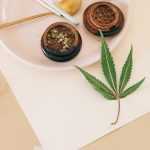 Семена красной конопли полезные свойства и применение image_394.jpg