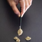 Использование семян конопли на рыбалке как эффективный способ привлечения рыбы image_432.jpg