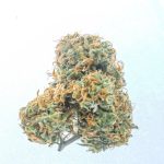 Семена конопли CBD Compassion feminised от Dutch Passion Seeds image_489.jpg