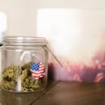 Конопля в России: история, применение и перспективы выращивания image_503.jpg