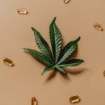 Причины невсхожести семян конопли и способы их устранения image_52.jpg