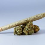 Семена конопли Sweet Mix feminised от Sweet Seeds image_549.jpg