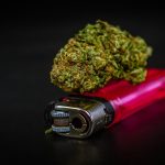 Автоцветущие семена конопли и особенности их выращивания image_554.jpg