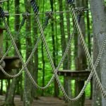 Семена конопли Top Skunk #44 Regular от Ganja Seeds images419.jpg